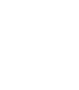 AIGA NY